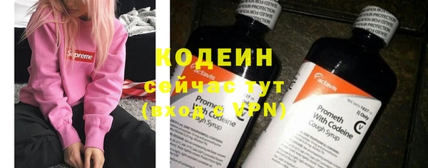 дживик Няндома