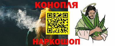 индика Дубна