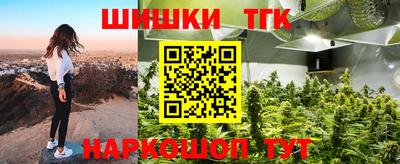 индика Дубна