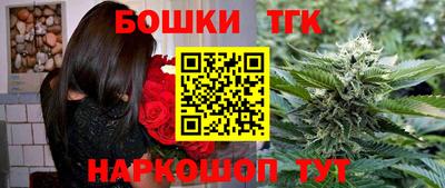 индика Дубна
