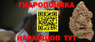 индика Дубна