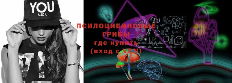 где купить   Лабытнанги  Галлюциногенные грибы Psilocybe 