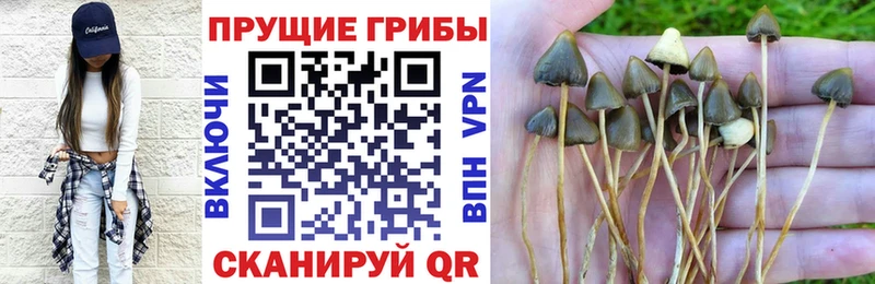 Псилоцибиновые грибы Psilocybe  продажа наркотиков  Лабытнанги 