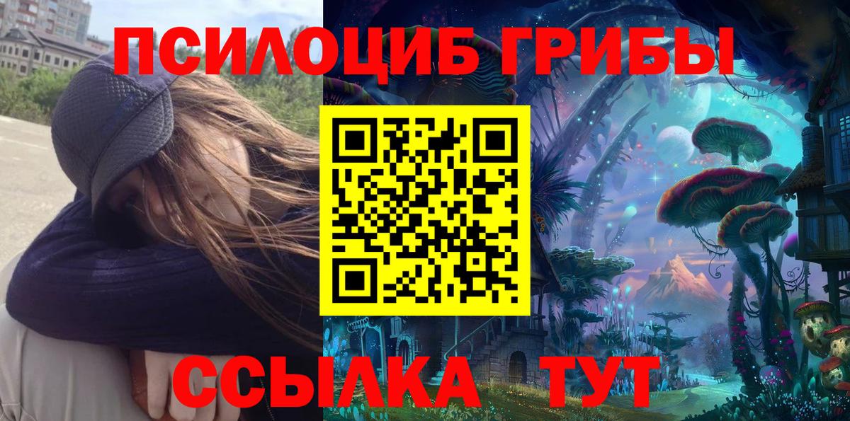 Псилоцибиновые грибы Psilocybe Лабытнанги